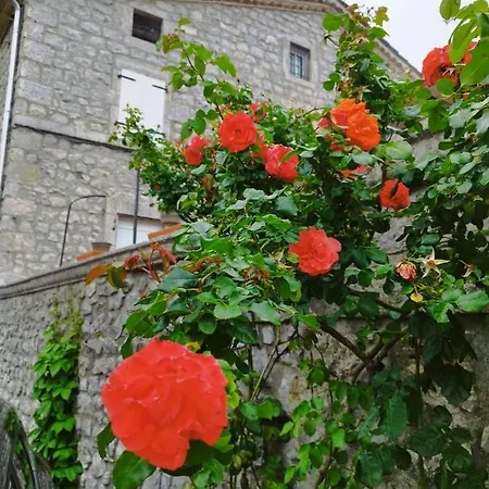 아파트 Les Traverses Chauzon